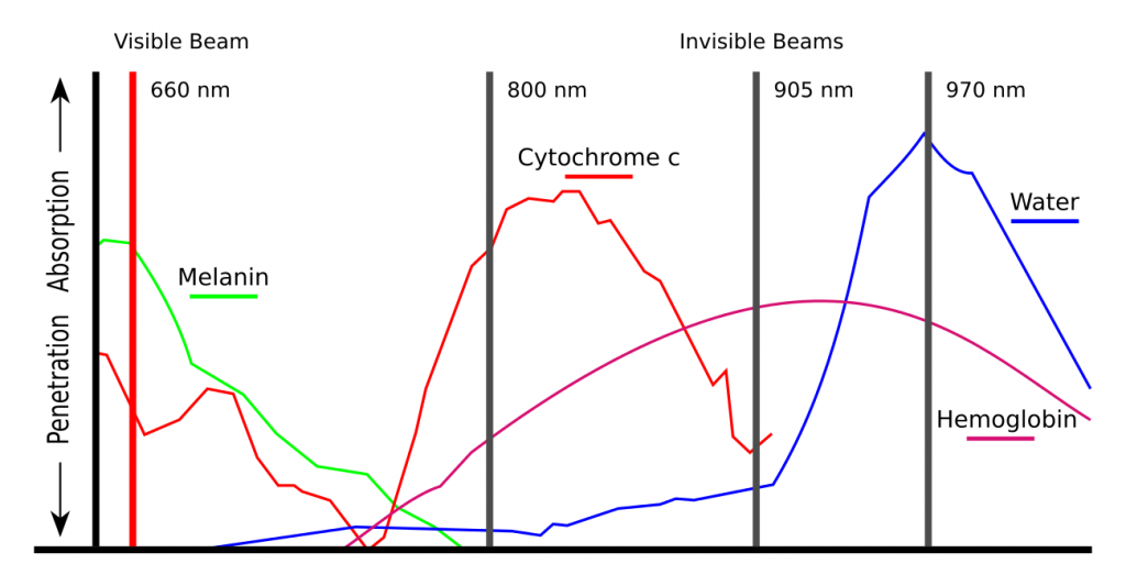 laser physio graph